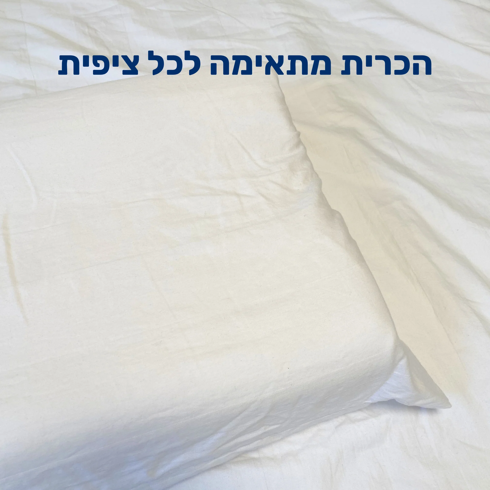 תמונת מוצר 10